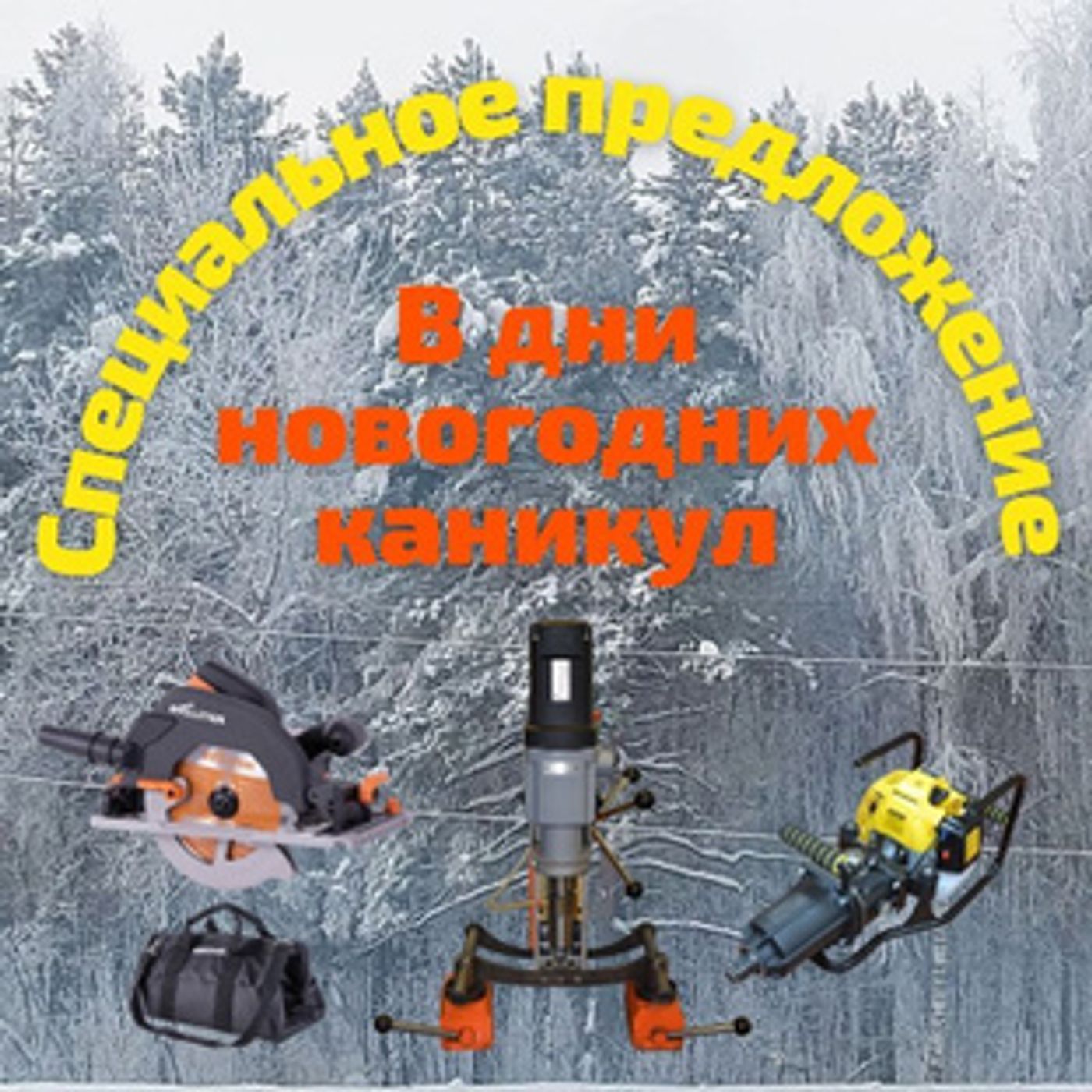 Специальное Предложение в Дни Новогодних Каникул