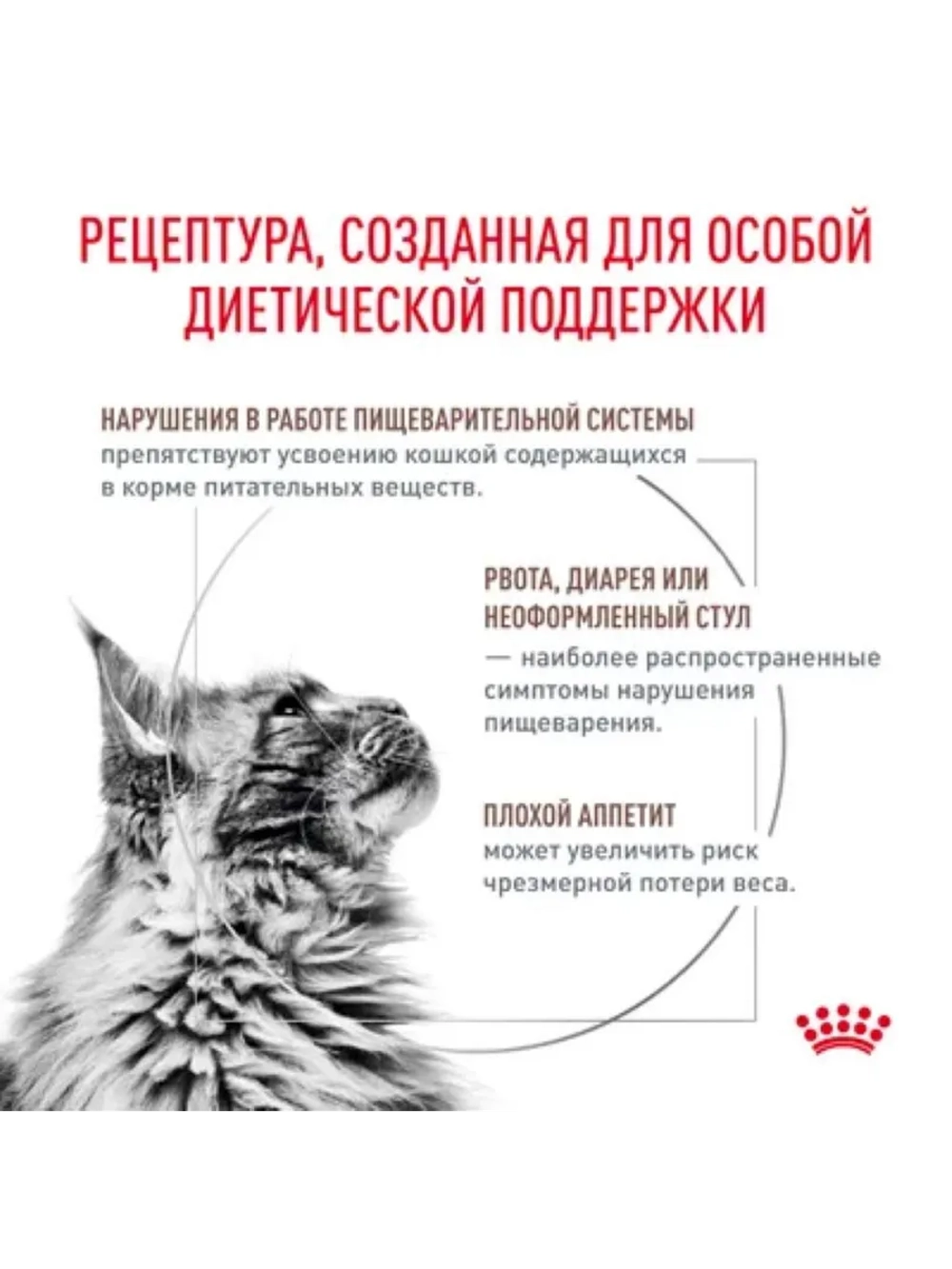 Gastrointestinal Корм для кошек 2кг