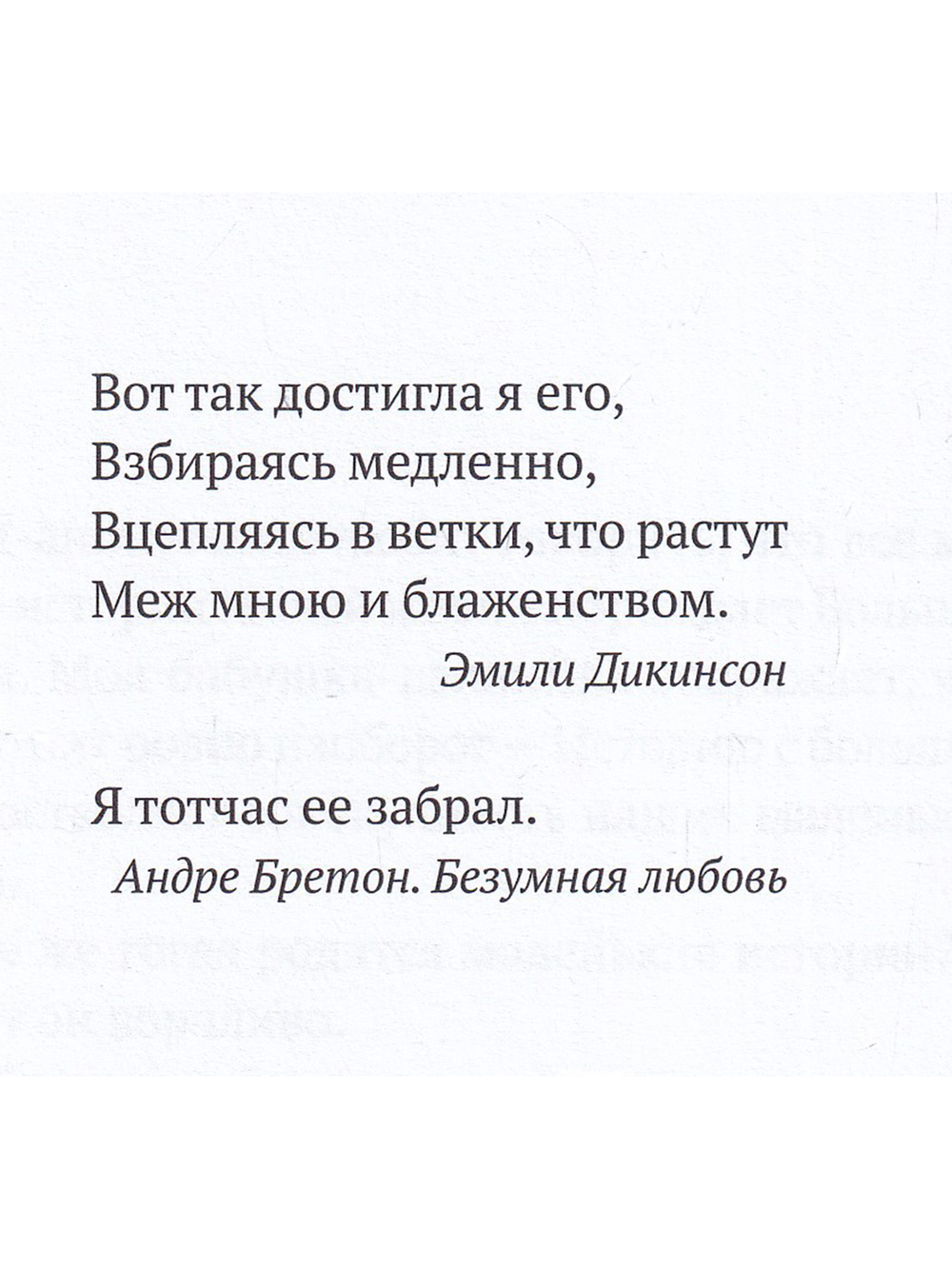 Ложка