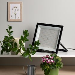 Фитопрожектор для растений светодиодный ЭРА FITO-100W-Ra90-LED для цветения и плодоношения полного спектра 100 Вт | Фито прожекторы