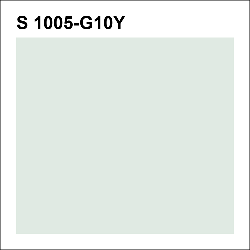 S 1005-G10Y за кг