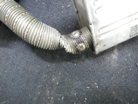 DSCN3436.JPG