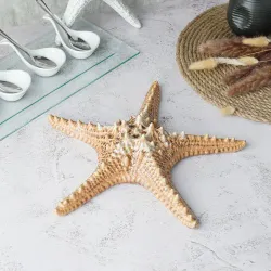 Блюдо для подачи 28*28 см h6 см 100 мл для закусок Звезда Pearl Starfish Frutti di Mare P.L. [1]