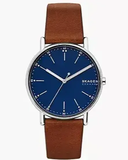 Мужские часы Skagen SKW6355