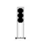 Perlisten Audio R5t Piano White