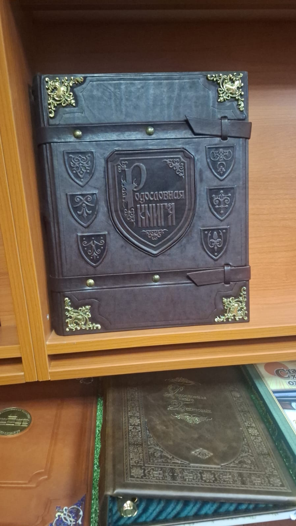 Большая семейная родословная книга "Наследие", натуральная кожа