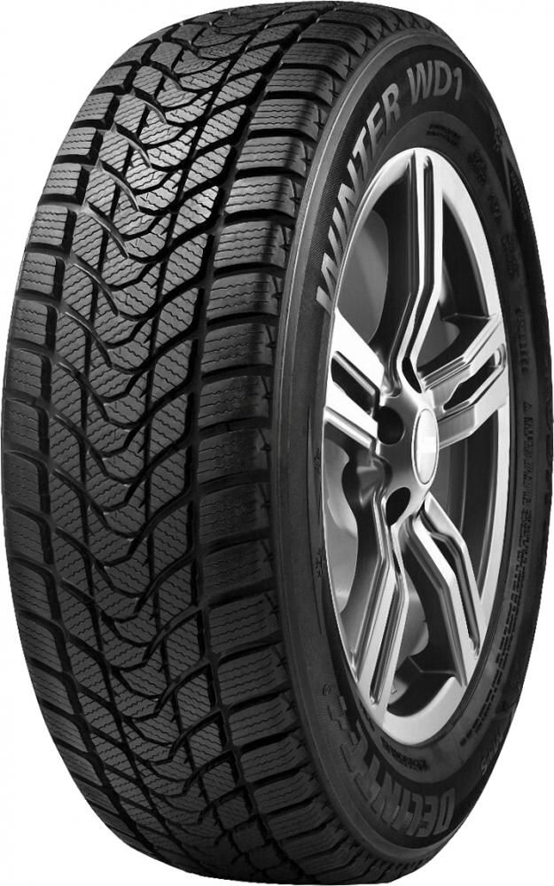 Delinte Winter WD1 205/55 R16 91H