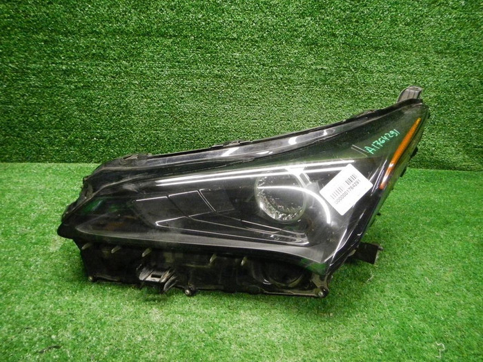 DSCN4615.JPG