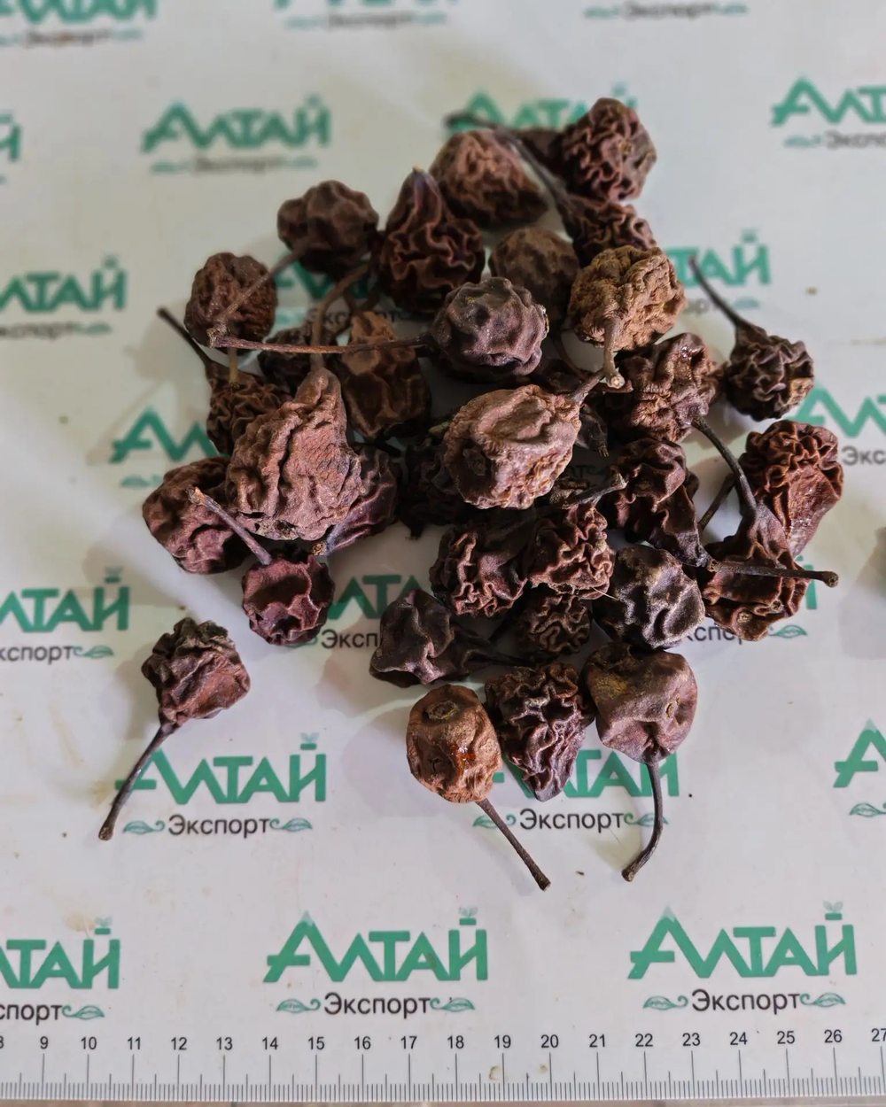 Груша дикая плод цельный Алтай