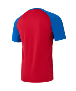 Футболка игровая Jogel Camp Striped Jersey, красный R2/синий Z2
