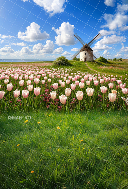 Фотофон "Белые тюльпаны" арт. ФФ903-68