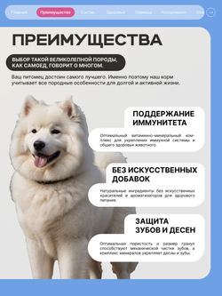 Корм сухой для взрослых собак породы Самоед, премиум полнорационный комплекс, с говядиной, 2,5 кг, QUATTRO