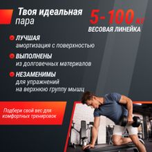 Гантель UNIX Fit PRO круглая обрезиненная 10 кг, 2 шт.
