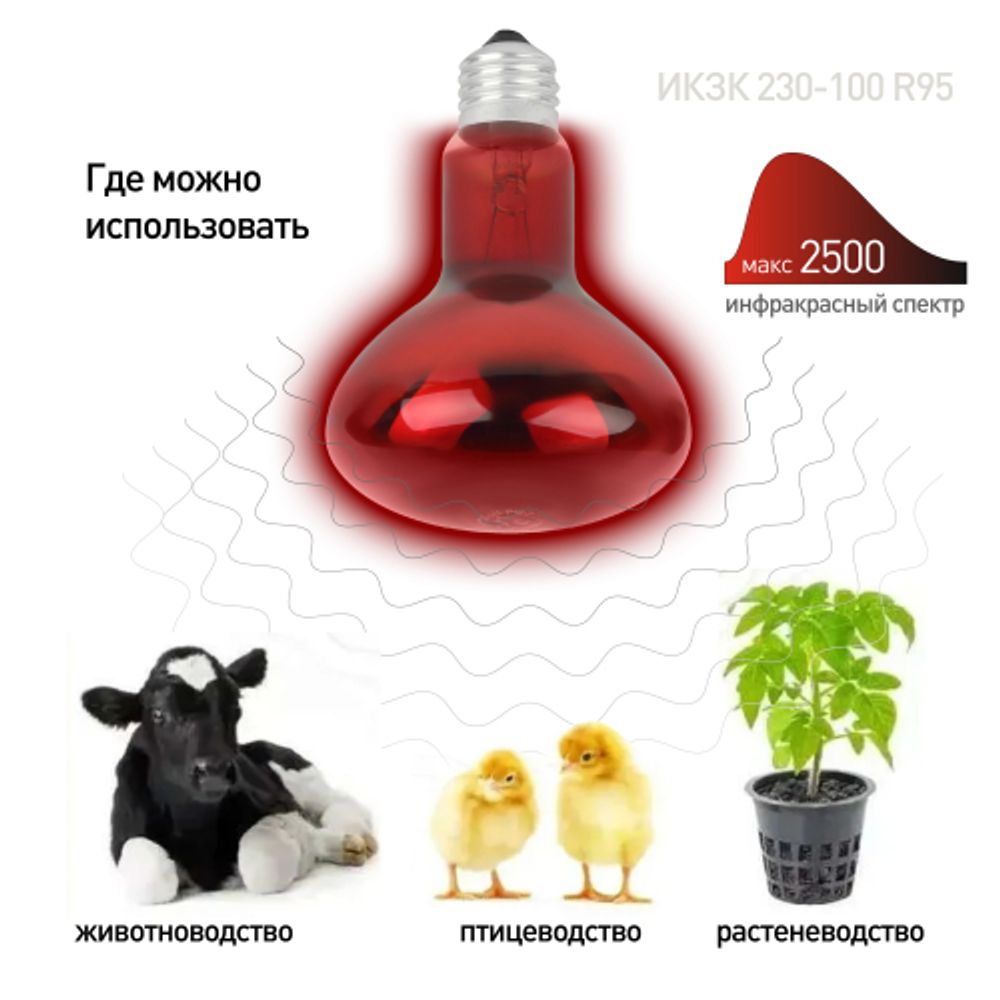Комплект из 2-х инфракрасных ламп ЭРА ИКЗК 230-100 R95 E27 для курятника цыплят птиц животных/лампа для обогрева | Инфракрасные лампы