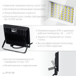 STAYER LED-MAX, 50 Вт, 6500K, IP 65, светодиодный прожектор (57131-50)