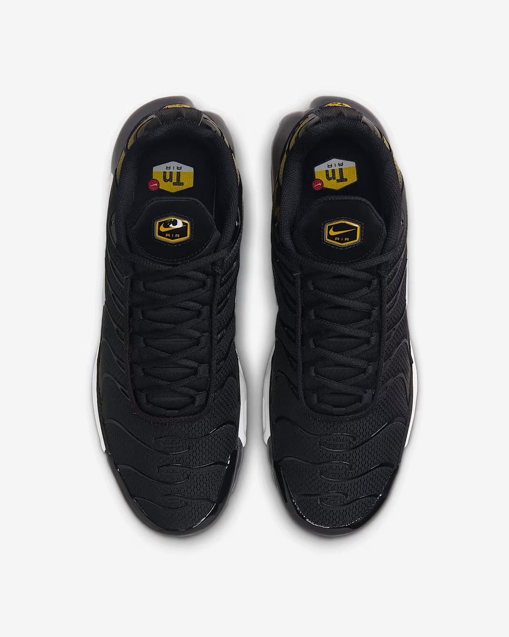 Кроссовки мужские NIKE AIR MAX PLUS