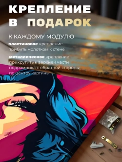 Картина Розовый рок-н-ролл модульная 30х40см 1шт.
