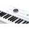 Arturia AstroLab White