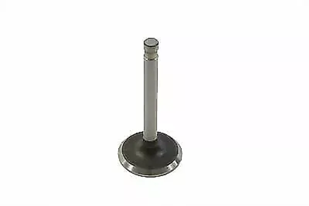 EXHAUST VALVE