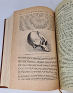 "Естественная история племен и народов". Сочинение Фр. Гельвальда. 1882г. - антикварное издание