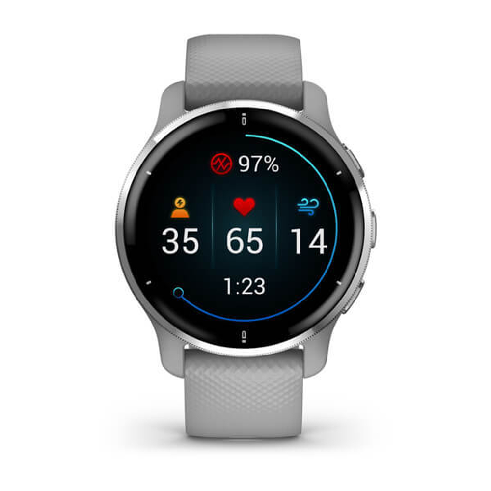 Часы Garmin VENU 2 PLUS серые с серебристым безелем и силиконовым ремешком, 010-02496-10