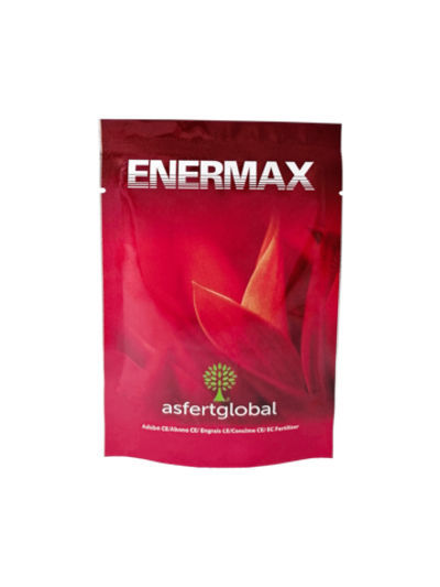 Энермакс (Enermax)