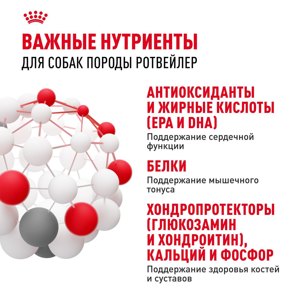 Royal Canin Rottweiller Adult Ротвейлер Эдалт Корм сухой для взрослых собак породы Ротвейлер от 18 месяцев 12кг