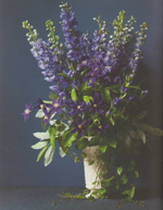The Flower Workshop