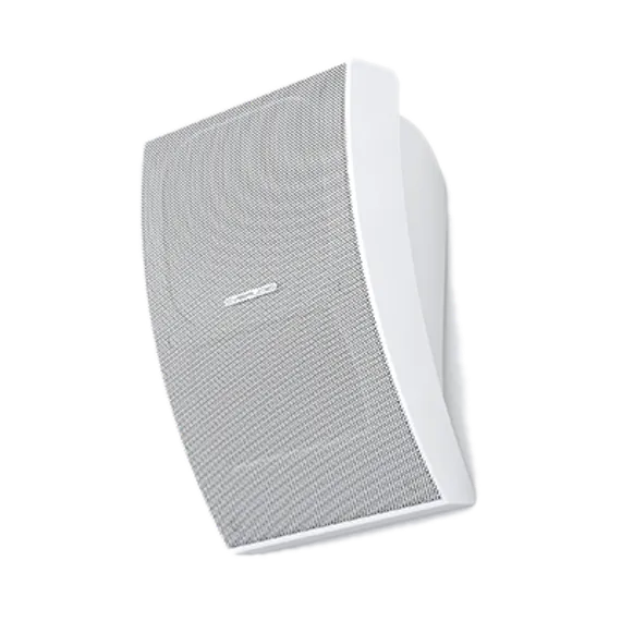CVGAUDIO WPA10TW настенная акустическая система