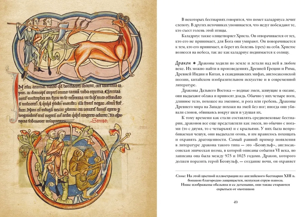 Книга Единорогов. Волшебный путеводитель по страницам фолиантов, глубинам тайных знаний и вершинам изящных искусств