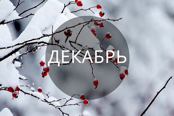 Акции декабря