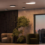 Потолочный светодиодный светильник Arte Lamp FADO A6620PL-1BK