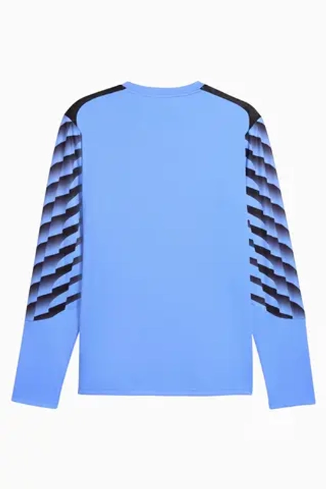 Вратарская кофта Puma teamLIGA 26 GK - голубой