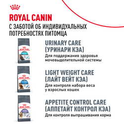 Royal Canin DIGESTIVE CARE (ДАЙДЖЕСТИВ КЭА) Корм сухой полнорационный для взрослых кошек для поддержания здоровья пищеварительной системы - 0,4 кг