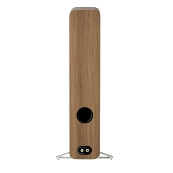 Q Acoustics 5050 Oak