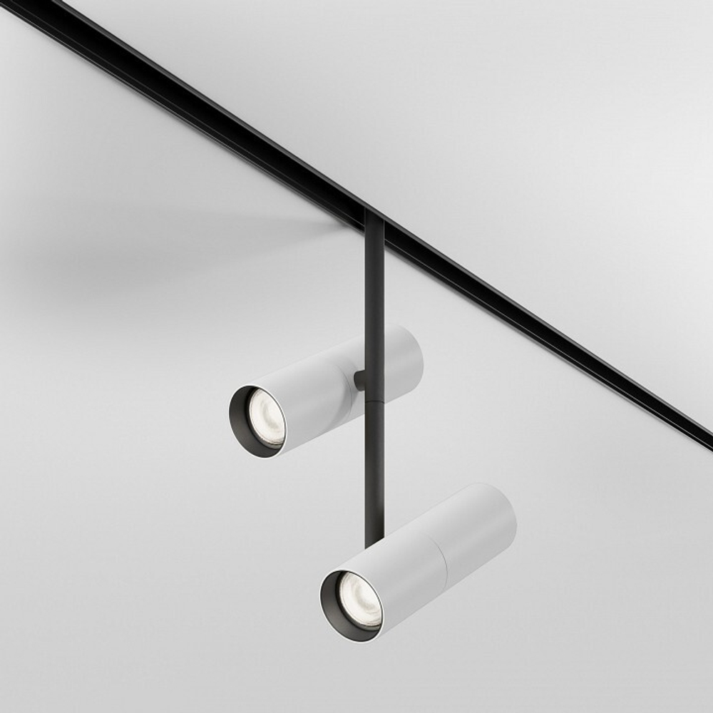 Светильник на штанге Maytoni Elti Duo TR005-2-2X12W4K-BW