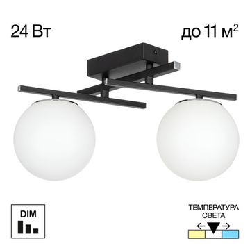 Потолочный светильник LED 24W 3000К/4000К/5500К CL223122 чёрный Dorsy Citilux