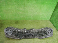 DSCN5674.jpg