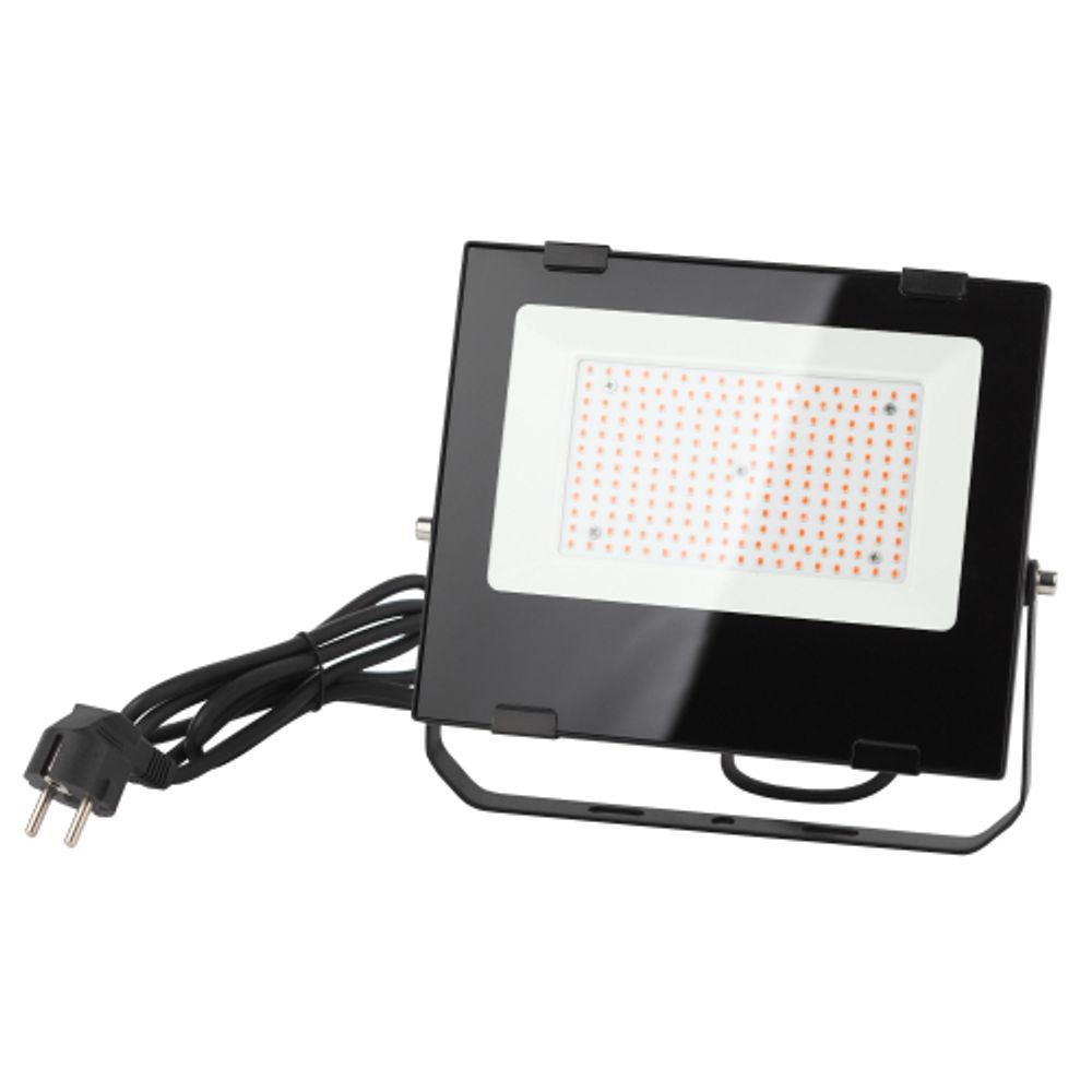 Фитопрожектор для растений светодиодный ЭРА FITO-100W-RB-LED для цветения и плодоношения красно-синего спектра 100 Вт | Фито прожекторы