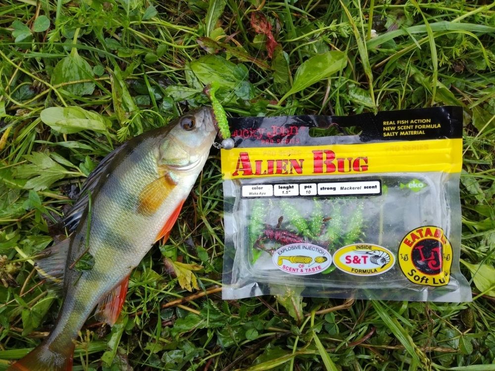 Мягкая приманка Lucky John Series ALIEN BUG 2,5in (63 мм), цвет T52, 7 шт/уп