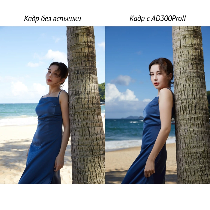 Вспышка аккумуляторная Godox Witstro AD300ProII
