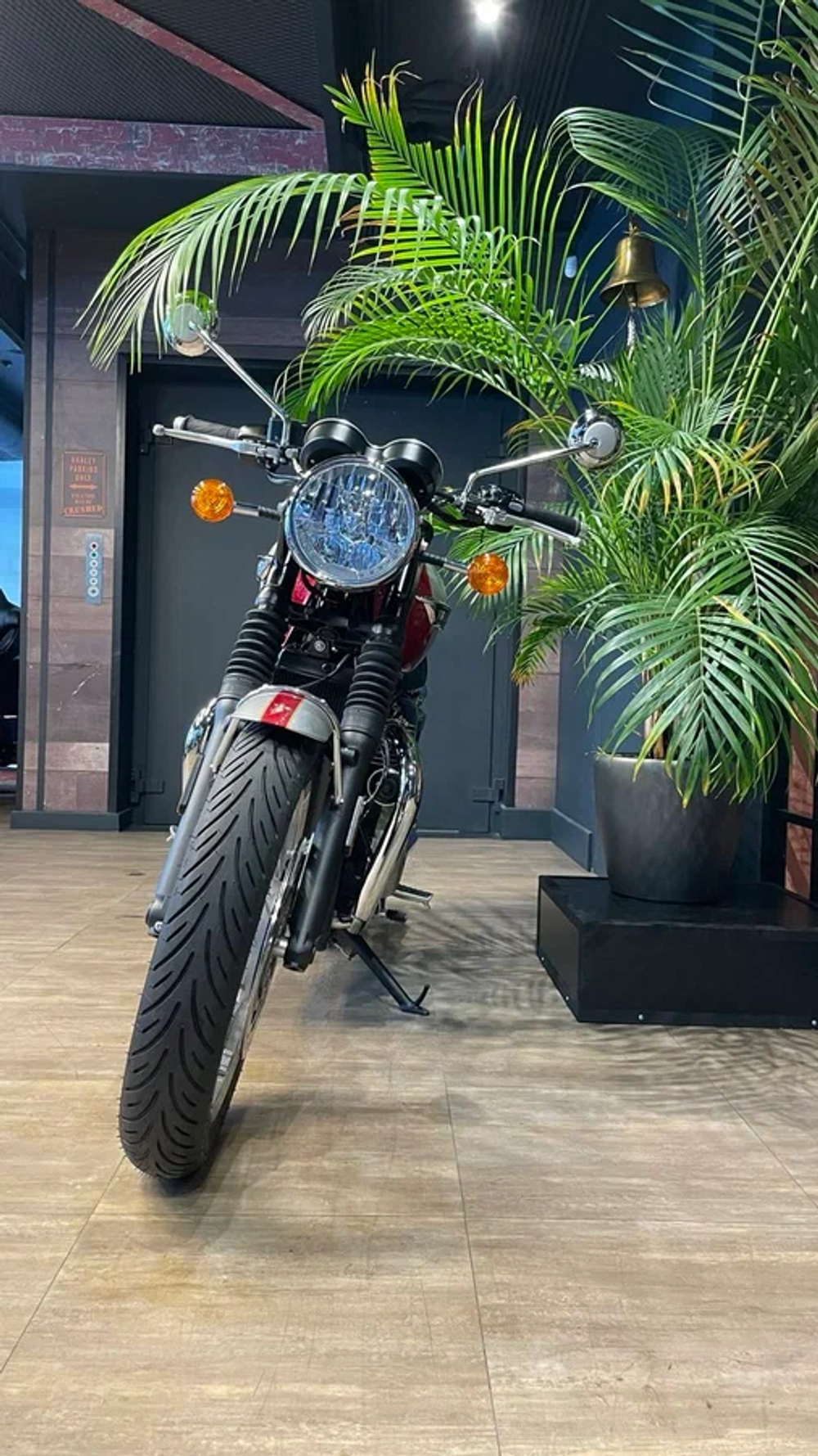 TRIUMPH BONNEVILLE T120, Элвис, 2024
