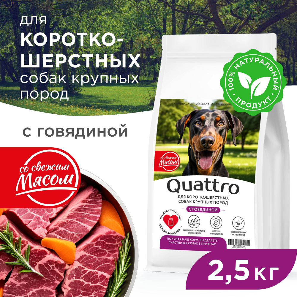 Корм сухой для взрослых собак крупных пород, премиум полнорационный комплекс, для короткошерстных собак, с говядиной, 2,5 кг, QUATTRO