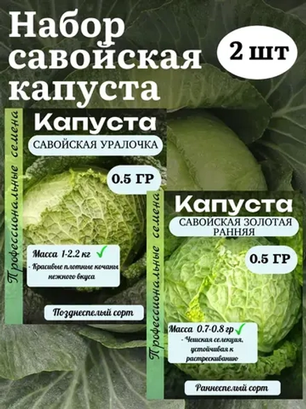 Семена Набор савойская капуста 2 шт