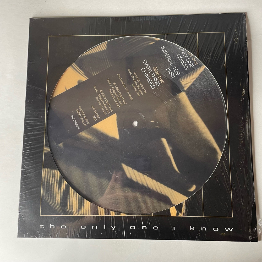 Виниловая пластинка LP The Charlatans The Only One I Know (Европейский Союз 2025) (Maxi Single Picture Disc)