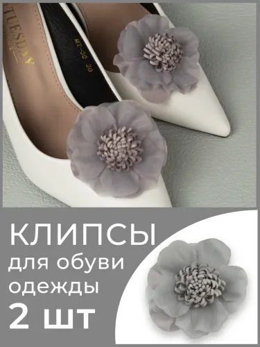 Броши для обуви
