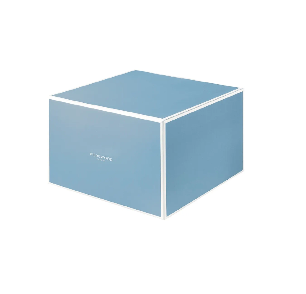 Wedgwood Чайная чашка Intaglio 220 мл с блюдцем EAN 4571165379943