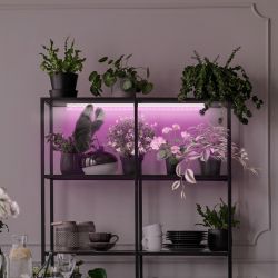 Светильник для растений, фитолампа светодиодная линейная ЭРА LLED-05-T5-FITO-14W-W розового свечения 14 Вт | Линейные фито светильники