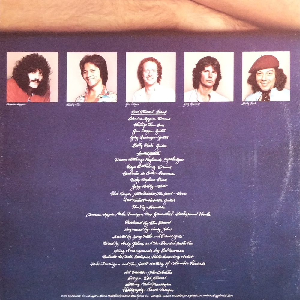 Rod Stewart / Blondes Have More Fun (LP)