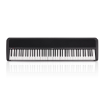 Korg B2N